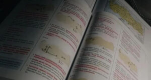 ALES Nedir? ALES’e Kimler Girebilir?