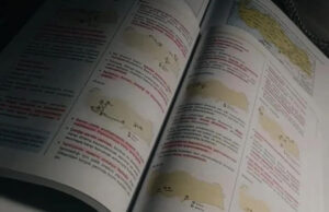 ALES Nedir? ALES’e Kimler Girebilir?